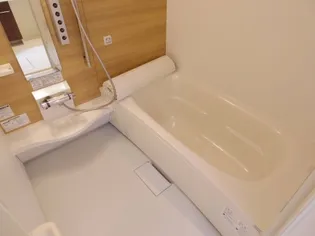 グランドゥールⅤ B棟【2階】の風呂