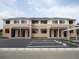 エレガンス ククナの画像