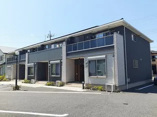 スウィーティーベル Cの画像