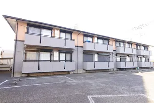 ハイカムール並木の画像