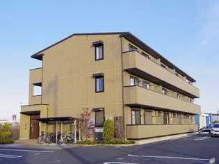 エバーグリーンの画像