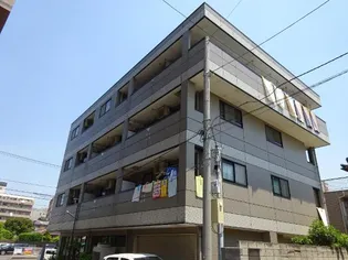リトルウィングの画像