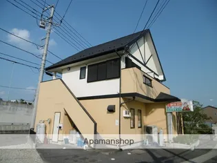 ぶどうの木の画像