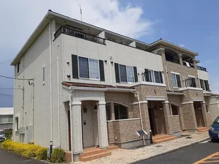 エンジェライトIIの画像