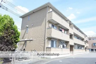 アモールの画像