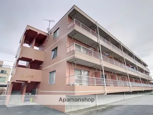 イルメーゼの画像