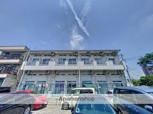 プラード千波の画像