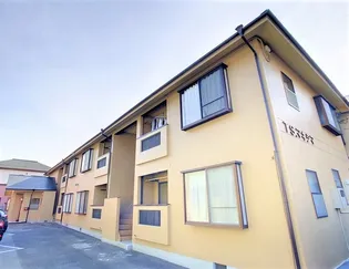 TSマキシマの画像