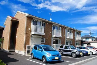 シェモア パールの画像