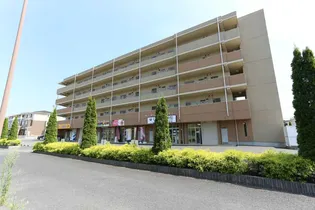 MTクリアネスの画像