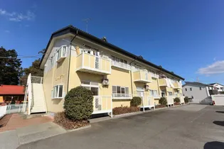 エリールヒラマツの画像