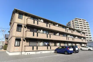 カサグランデ藤の画像