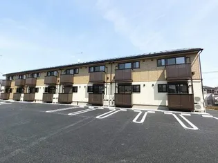 シェーナの画像