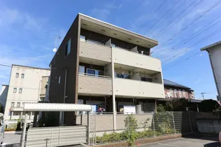 アイランダーの画像