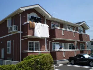 プラシードの画像