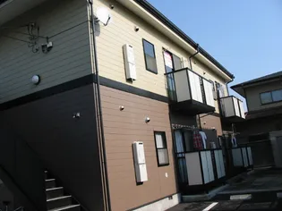 カメリアの画像