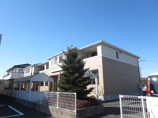 オアシスの画像