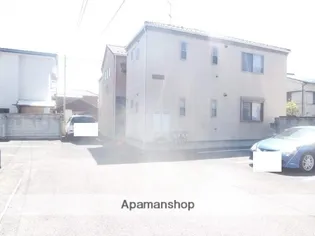 フラットMの画像