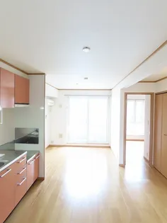 アルシオネB【2階】のその他画像