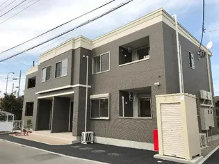 ルピナスの画像