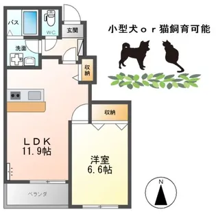 サンシャインハウスB【1階】の間取り