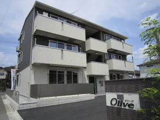 ブルートの画像