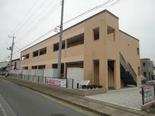 パンプキンフィールドの画像