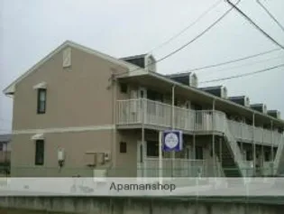 アムールの画像