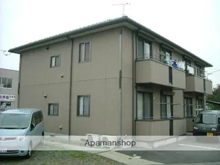 プリムローズの画像