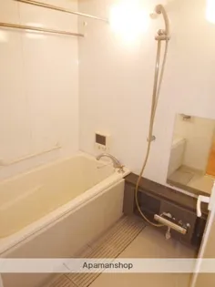 アパガーデンズ高崎駅前【8階】の風呂