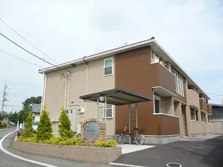 プメハナの画像