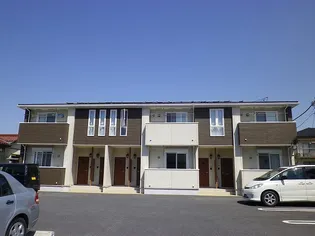 プラシードの画像