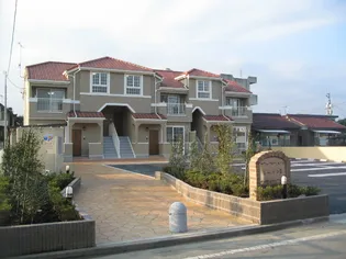 ミニョンIIの画像