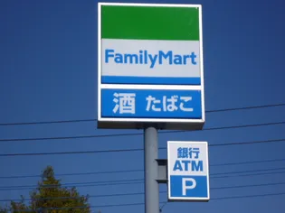 メゾン・ド・カメリア【1階】の周辺