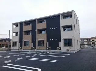 プラシードN Aの画像