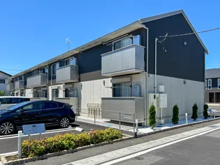 ブルーシェルの画像