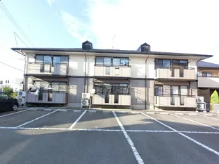 メゾン・ド・カメリア【1階】の外観