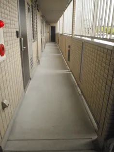 FRAU【1階】の内装