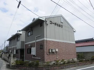 コーポ七曲り D【1階】の外観