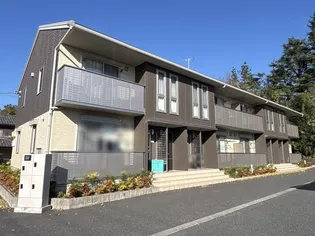 カーサカメリアの画像