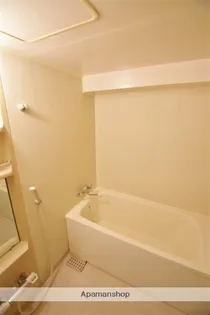 ハートフルライフIWASA3(岩佐第三マンション)【301号室】の風呂