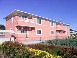 イノセントの画像