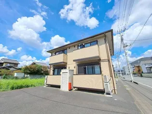 アムールCの画像