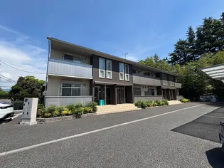 カーサカメリアの画像