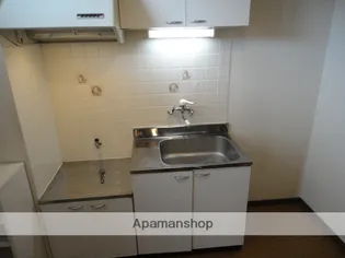 シティーハイツカモミール【A101号室】のキッチン