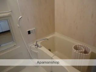 シティーハイツカモミール【A101号室】の風呂