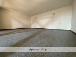 シティーハイツカモミール【A203号室】の内装