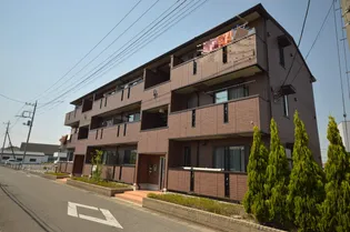 ラフェリアの画像