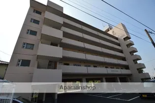 リバーサイドマツトシ【4階】の外観