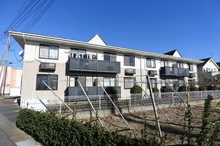 サングレープの画像